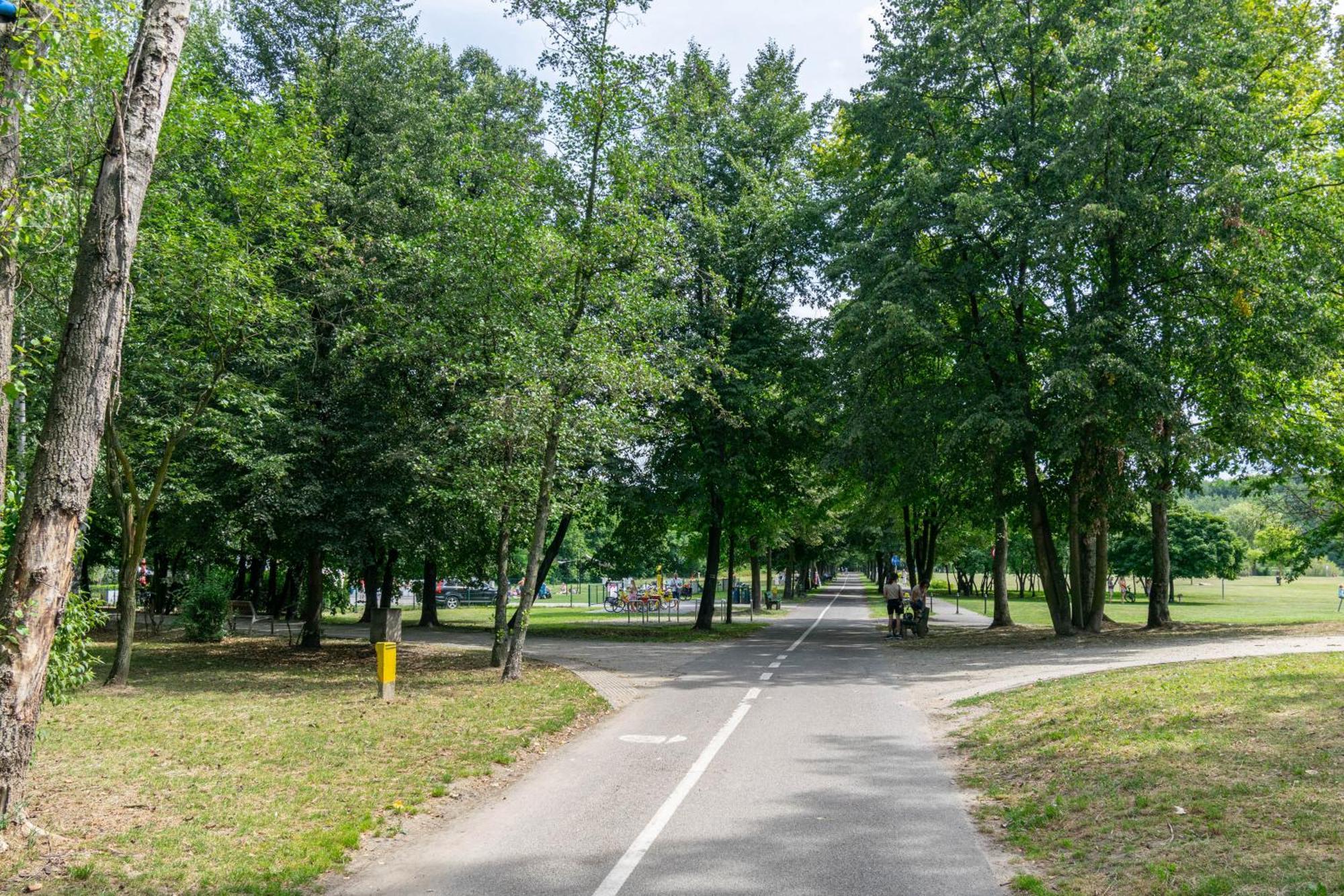 Oasis Trzy Stawy - Free Parking - Self Check-In Appartement Katowice Buitenkant foto
